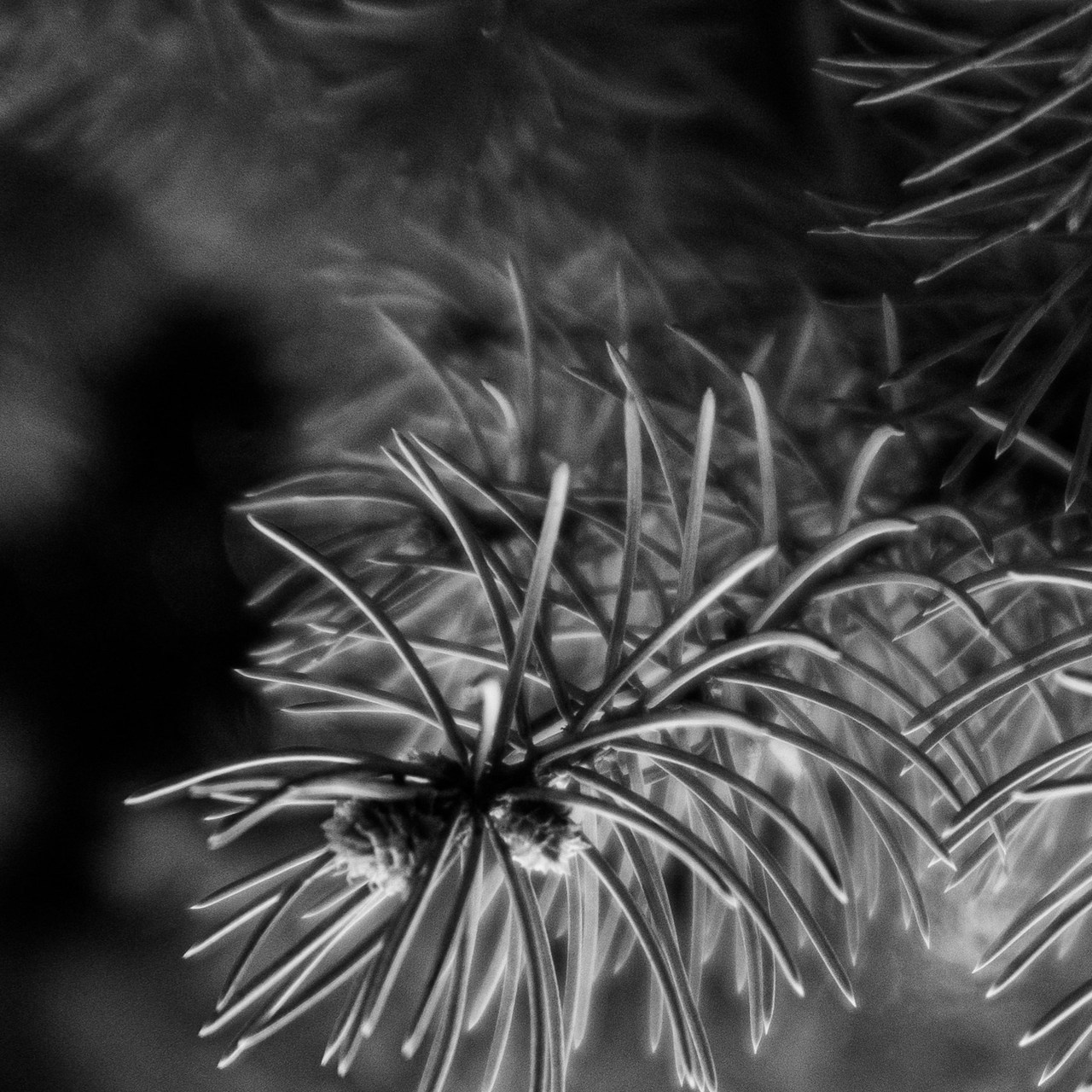 Отзывы. Фотограф Алматы, курс по Фотографии в Алматы. Дмитриева Наталья