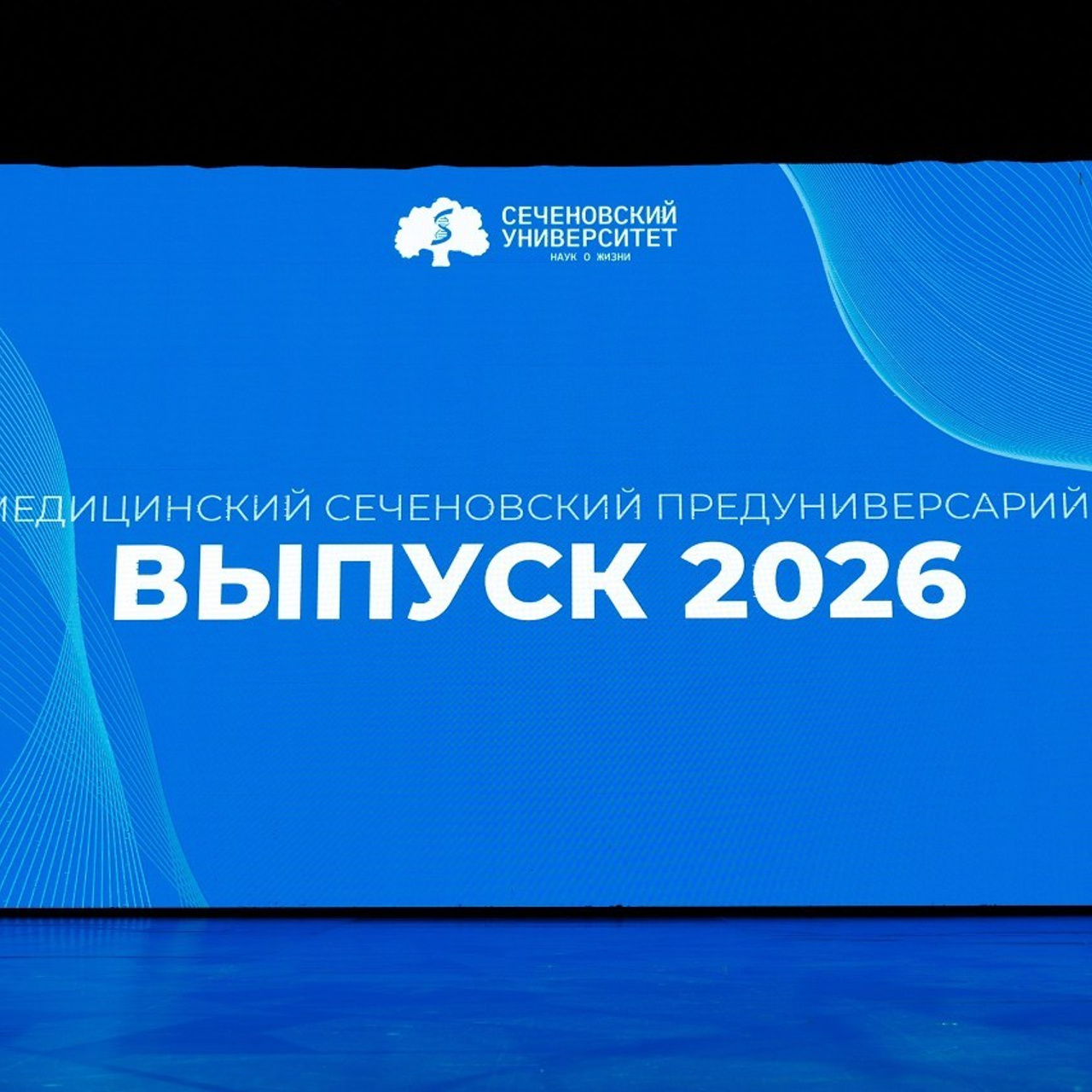Отзывы. Фотограф Артем Черепанов Москва