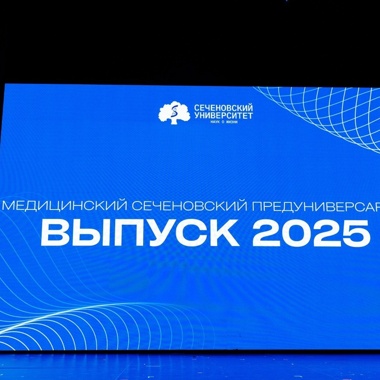 Отзывы. Фотограф Артем Черепанов Москва