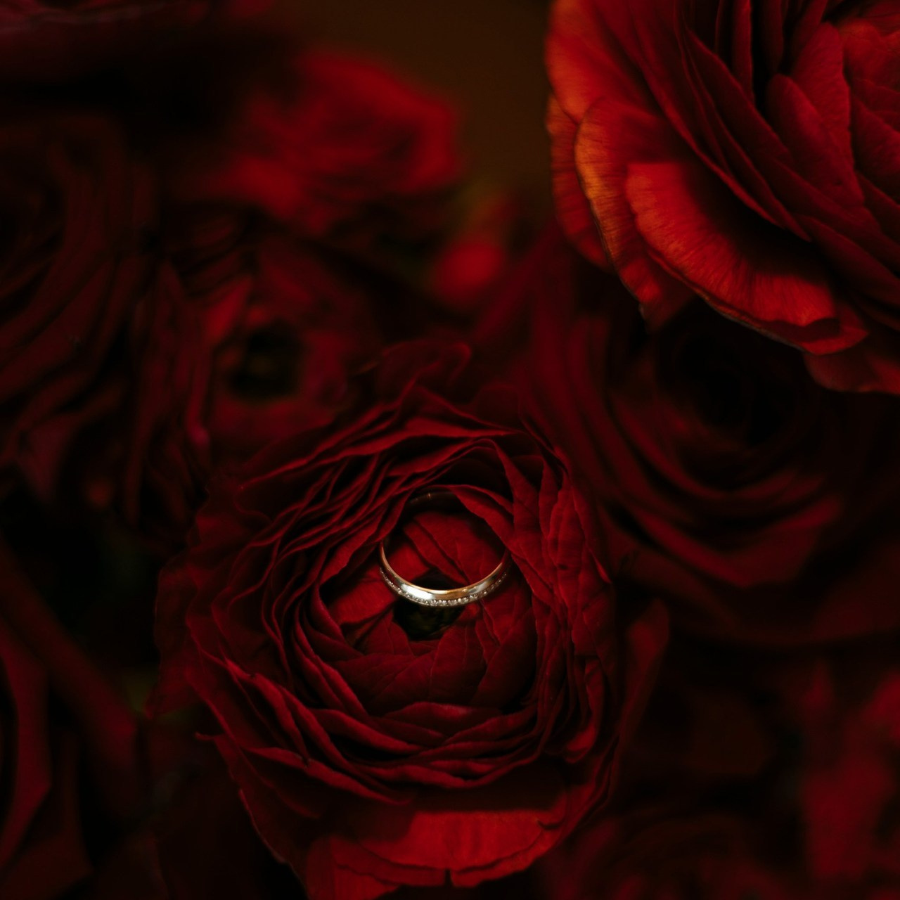 Отзывы. Nikolpinhasova