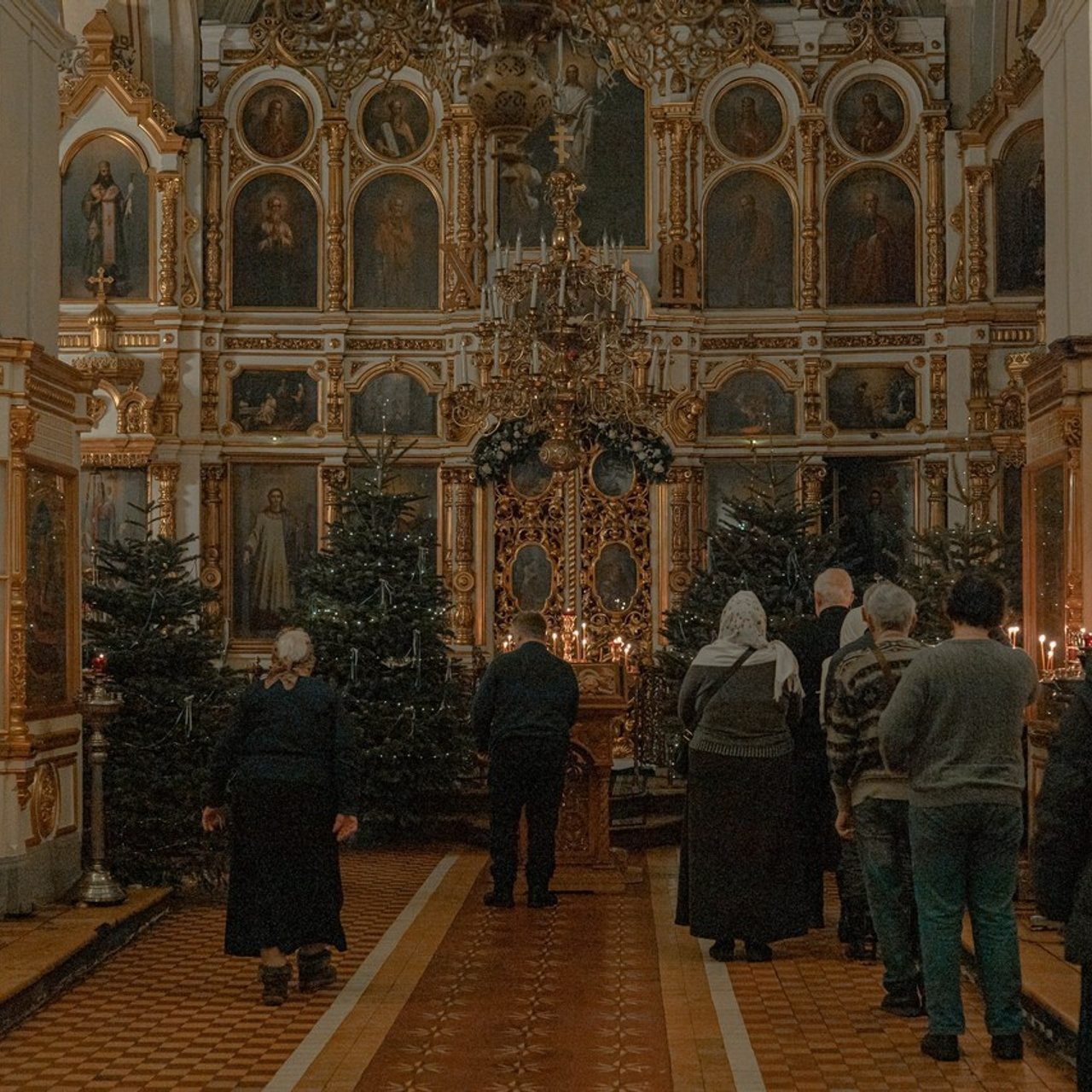 Отзывы. Артеменкова Анна Фотограф