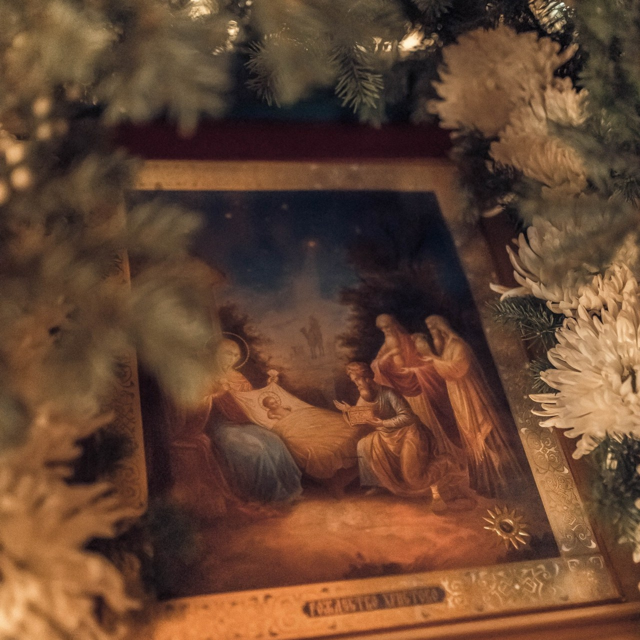 Отзывы. Артеменкова Анна Фотограф