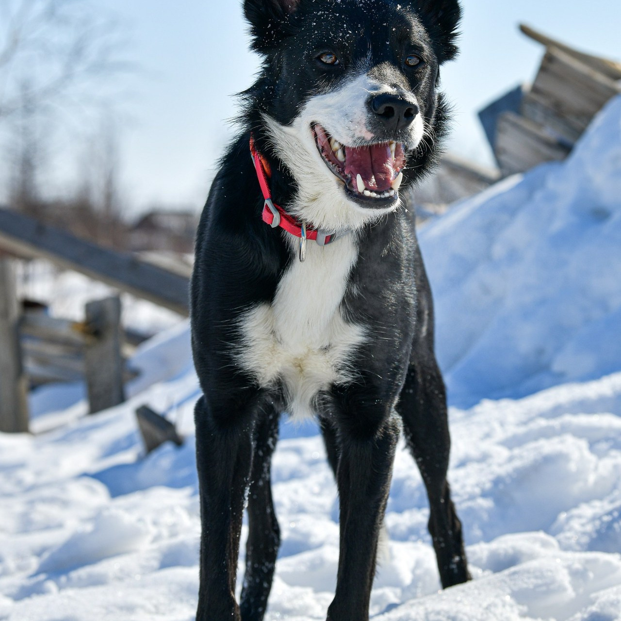 Отзывы. Свой взгляд через объектив