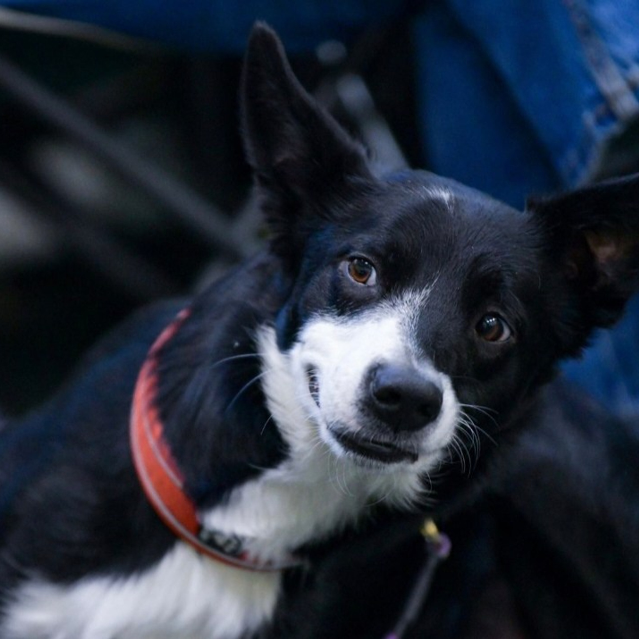 Отзывы. Свой взгляд через объектив