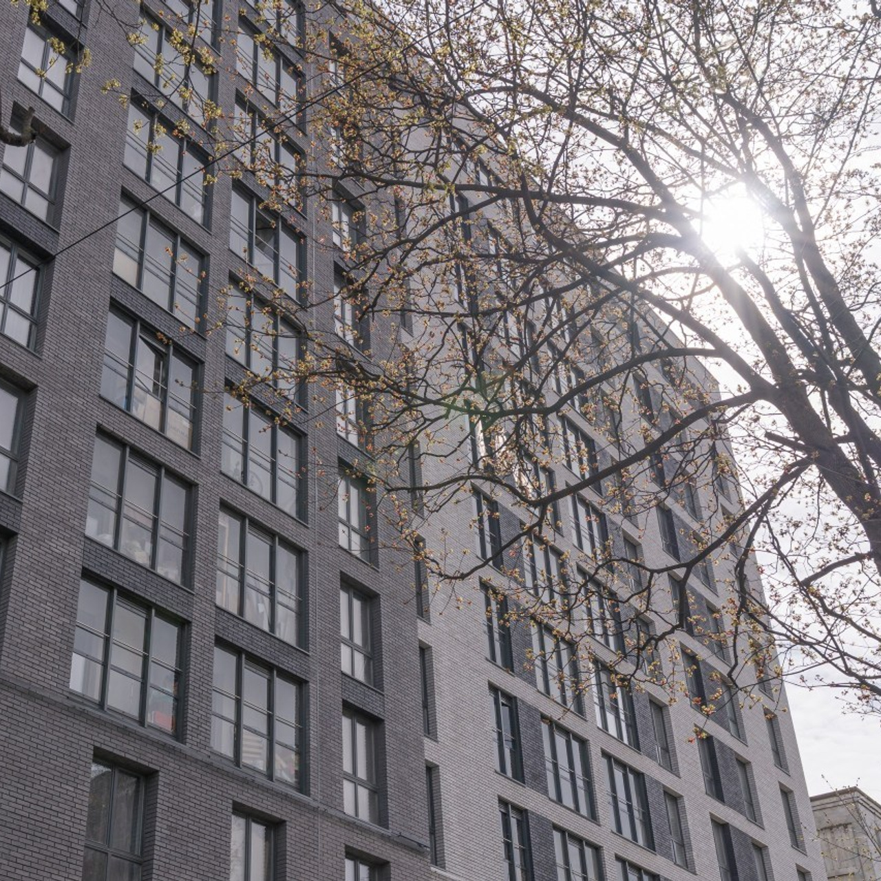 Отзывы клиентов — Cozy Frames