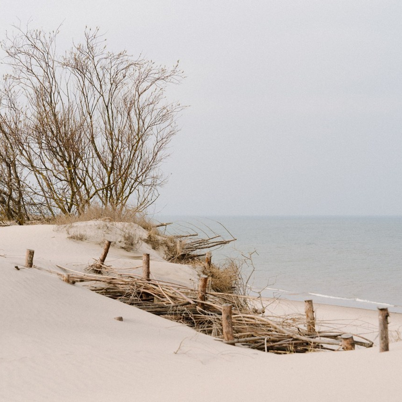 Отзывы. Коммерческий фотограф в Москве Хабибуллина Эльза