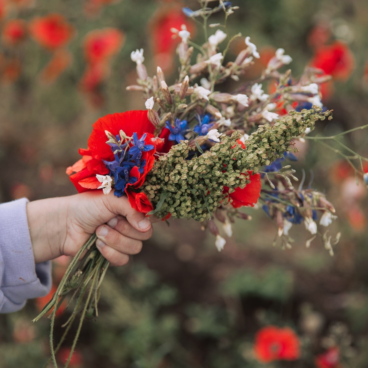 Отзывы. Фотограф в Санкт-Петербурге Алена Сертакова