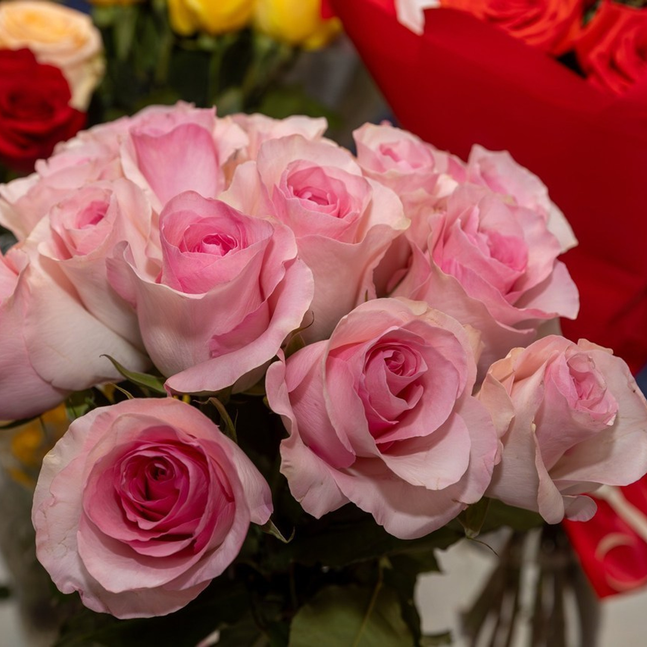 Отзывы. Фотограф Александр Поздняков  Новосибирск