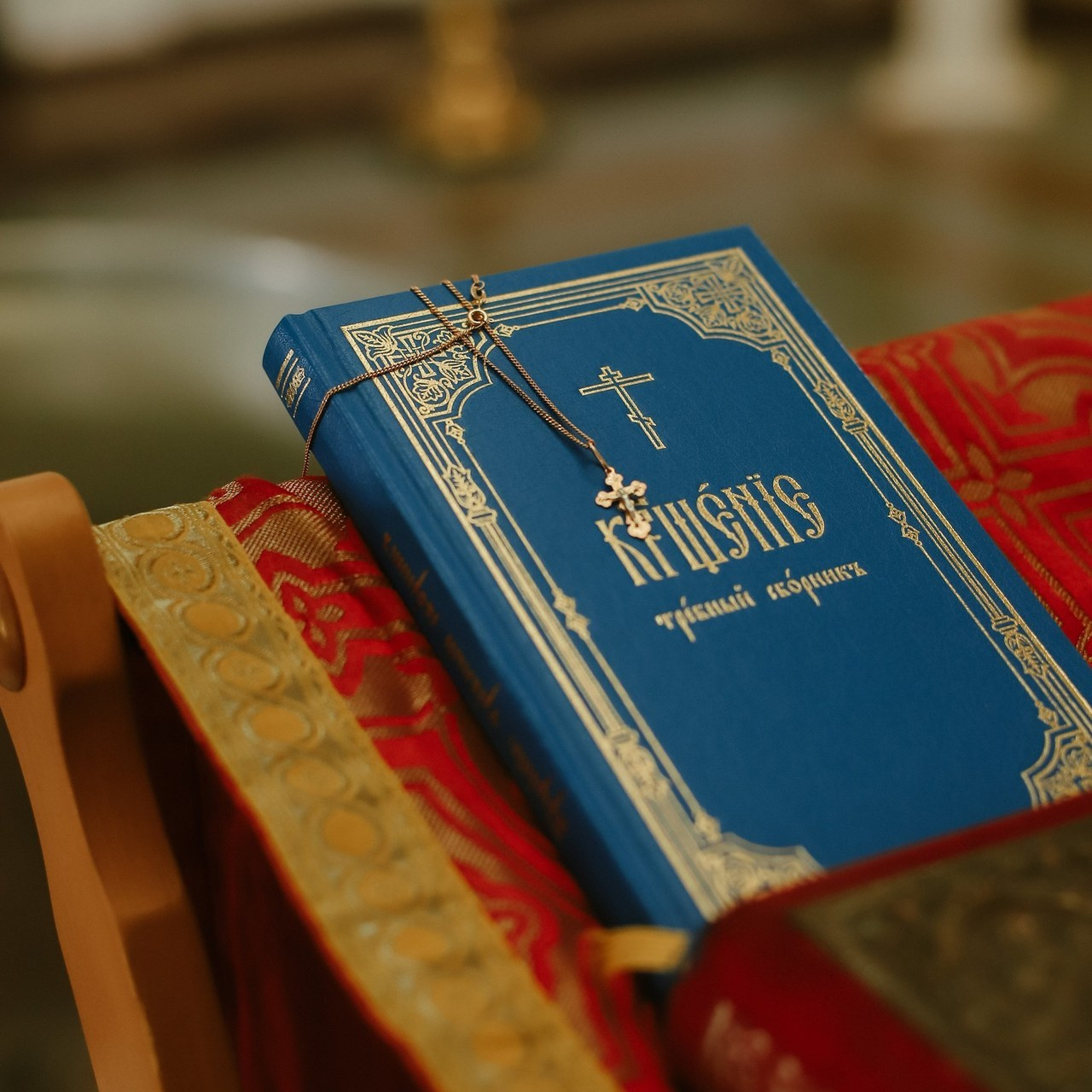 Отзывы. Профессиональный фотограф в Подольске Елена Локтионова