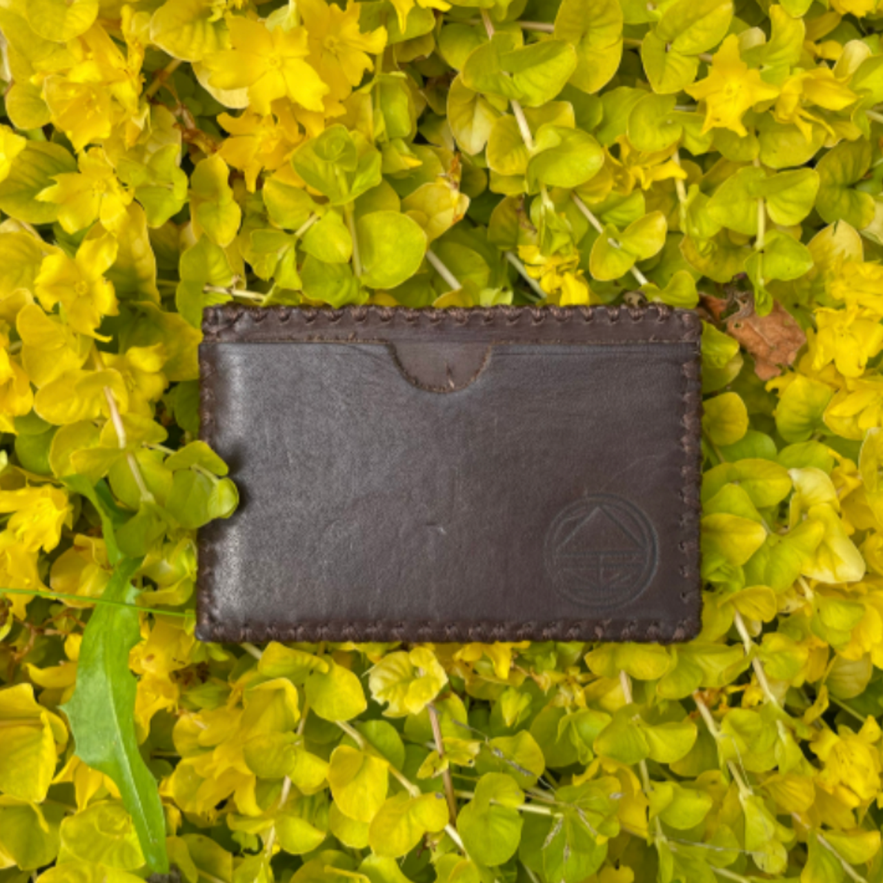 Отзывы. KIMESTHETICA