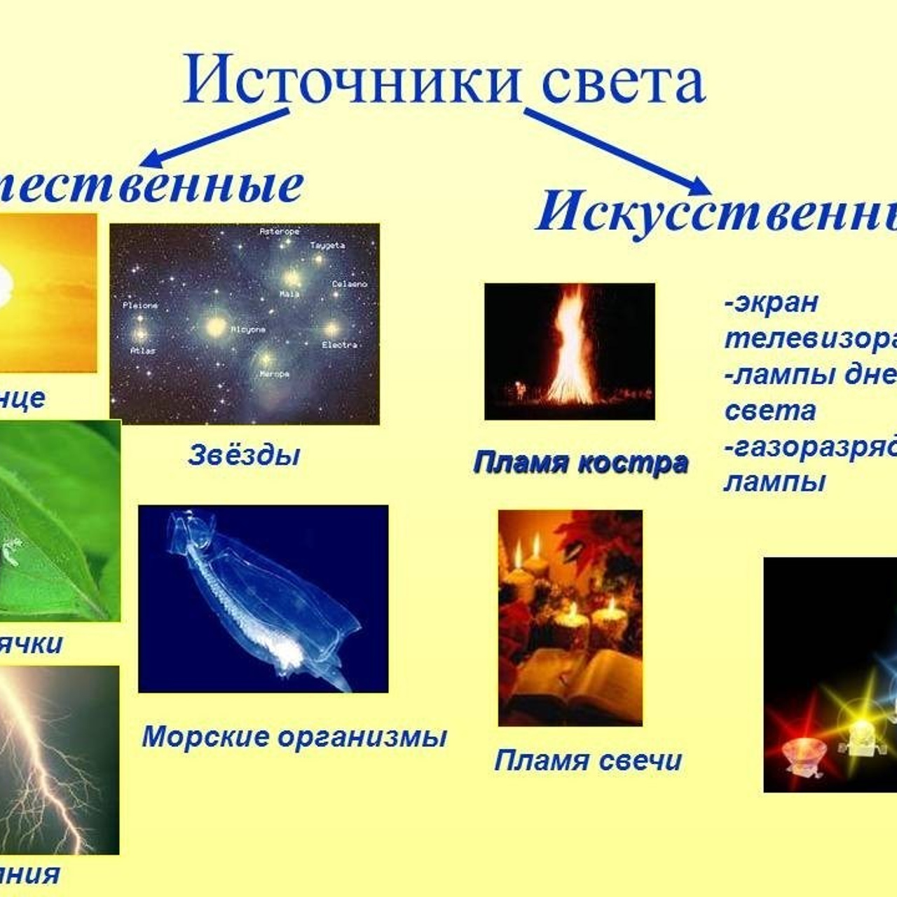 Отзывы. Фотограф Мария Иванова