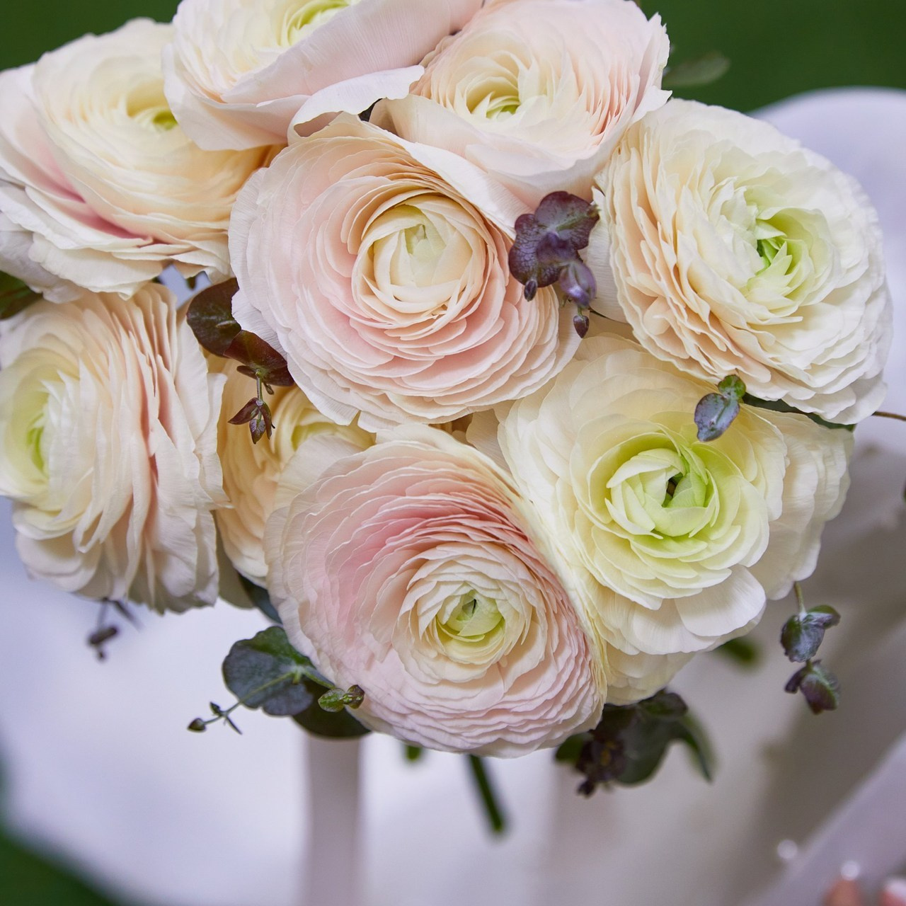 Отзывы. Фотограф Мария Иванова