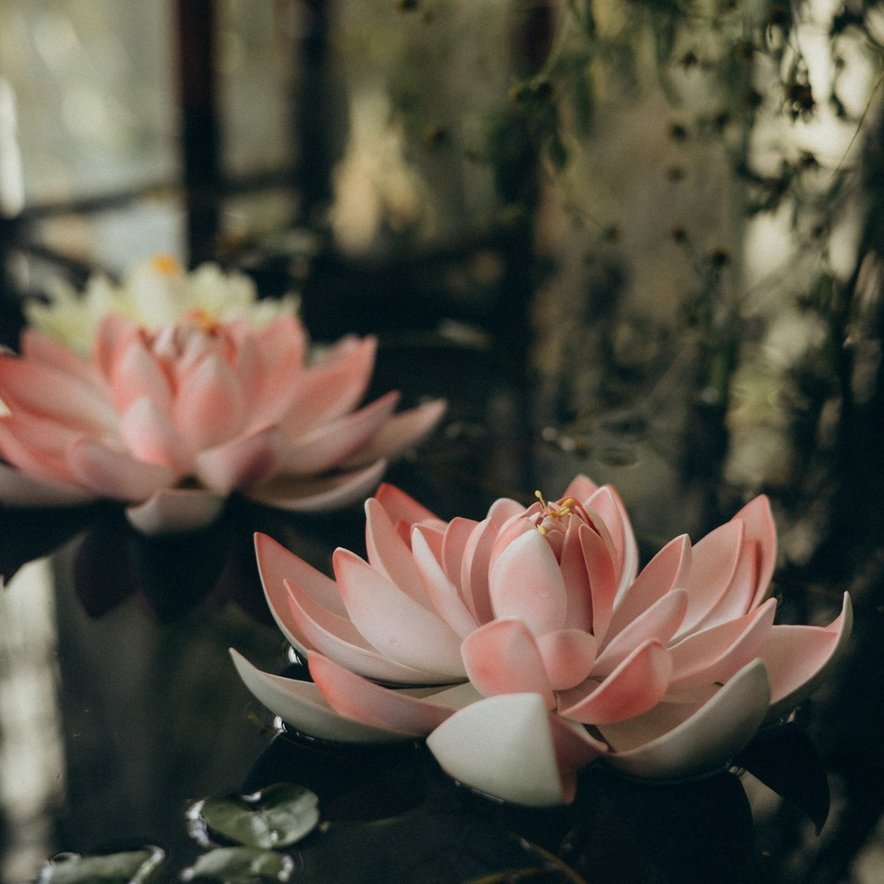 Отзывы. Портретный и семейный фотограф в Воронеже Ксения Ремизова