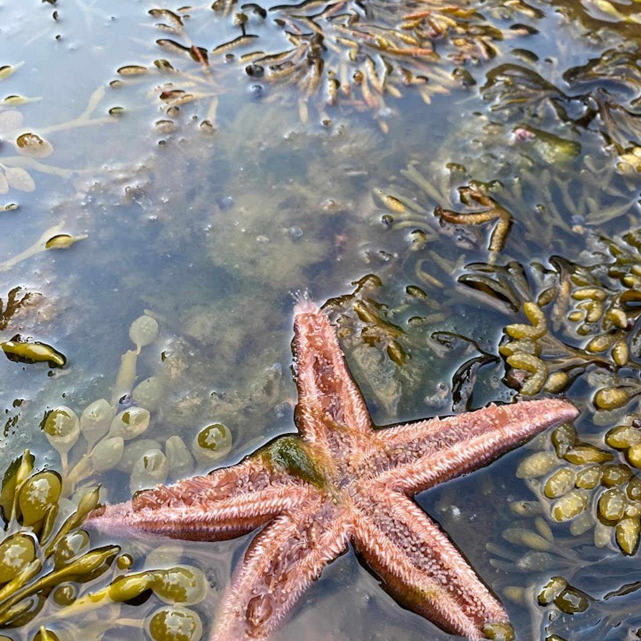 Териберка красивые места