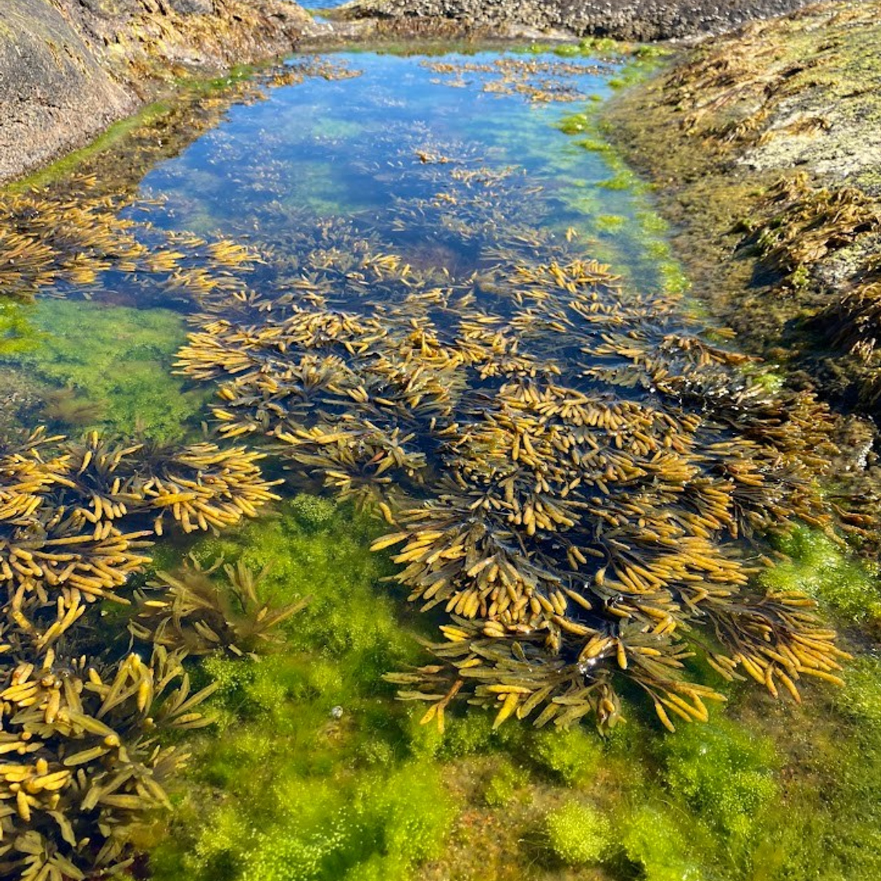 Териберка что посмотреть летом