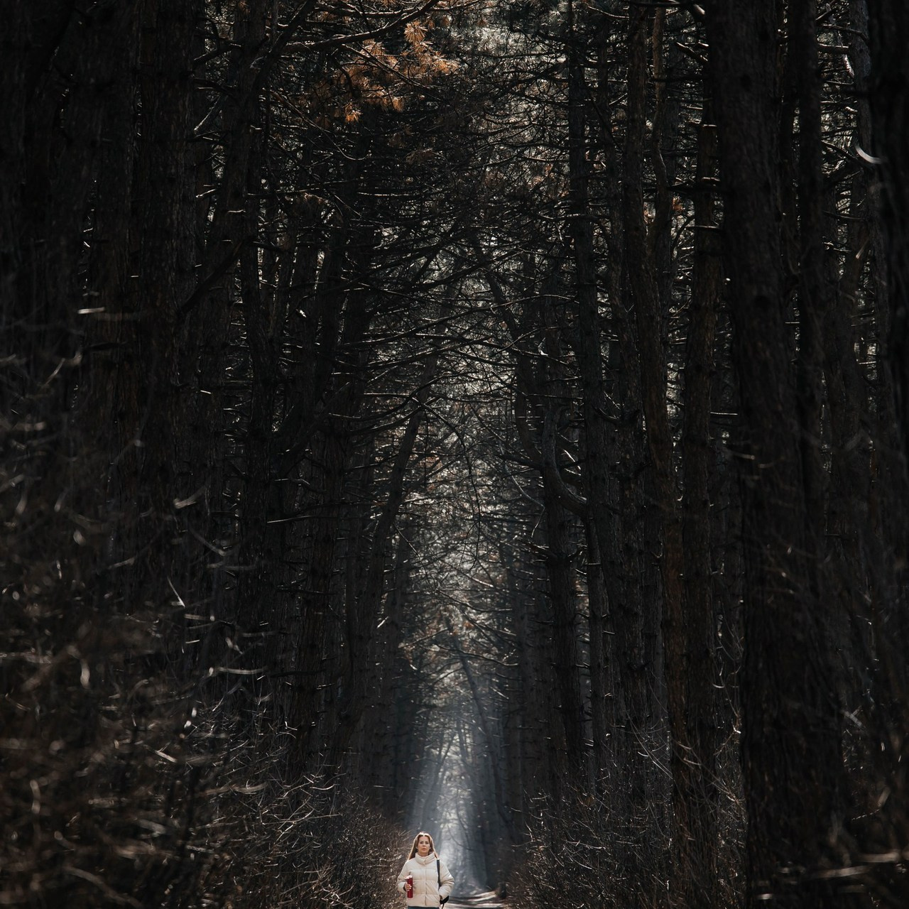 Отзывы. Коммерческий фотограф в Ростове-на- Дону Марина Петрова