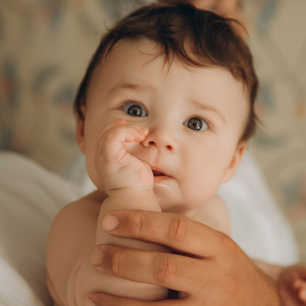 Отзывы. Свадебный и семейный фотограф в Саратове Виолетта Привалова