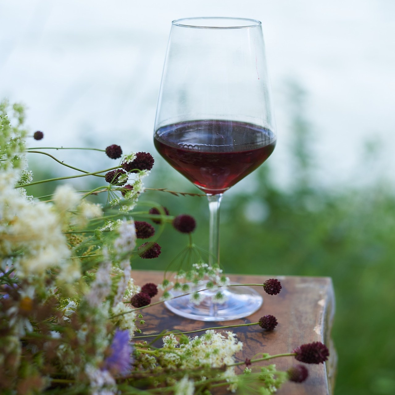 Отзывы. Семейный фотограф в Барнауле, Горный Алтай, Заринск, Алейск