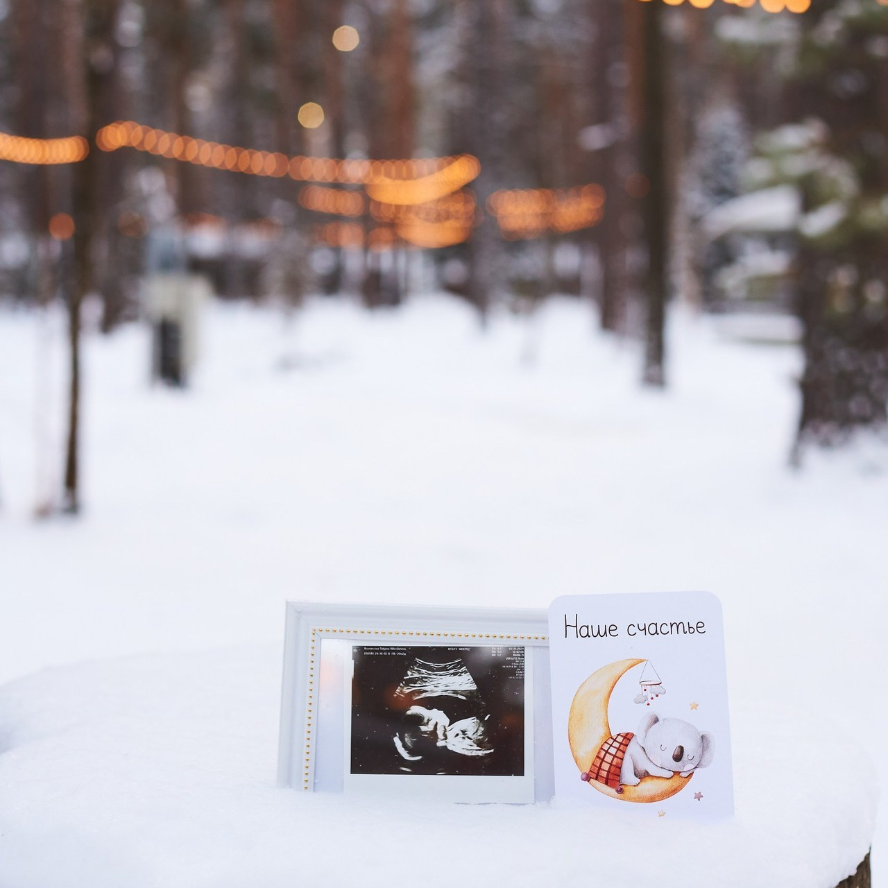 Отзывы. Семейный фотограф в Барнауле, Горный Алтай, Заринск, Алейск