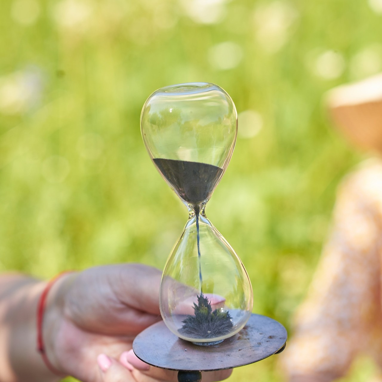 Отзывы. Семейный фотограф в Барнауле, Горный Алтай, Заринск, Алейск