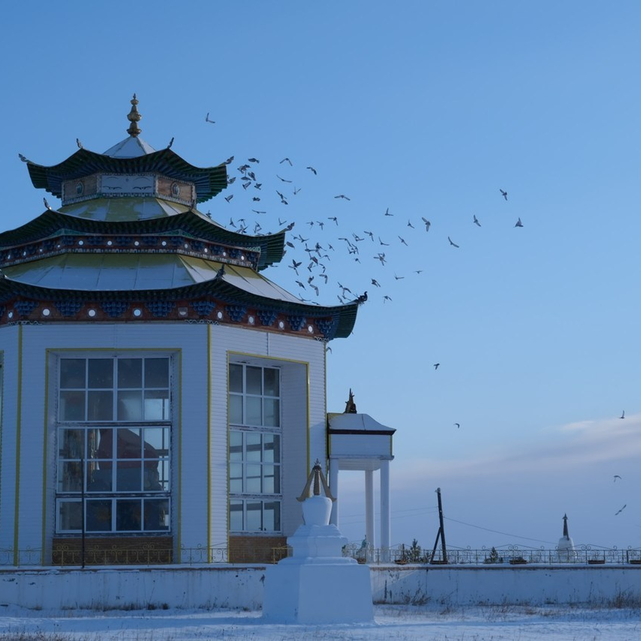 Отзывы. Сэсэг — дочь степи | семейный фотограф