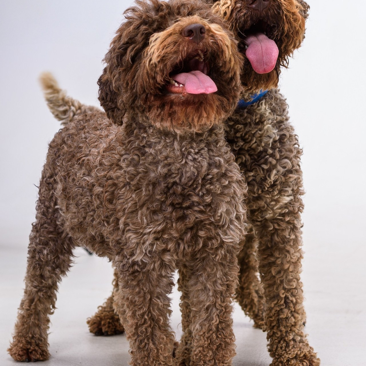 Отзывы. Фотограф Русанова Анастасия Майкоп Краснодар Краснодарский край