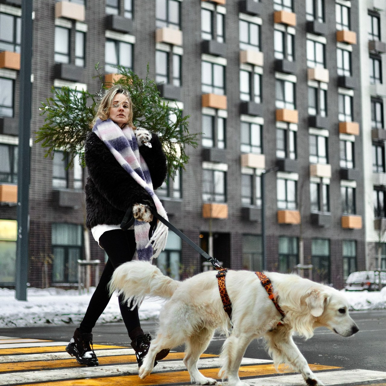 Отзывы. Фотограф-анималист Ксения Шевцова|Москва