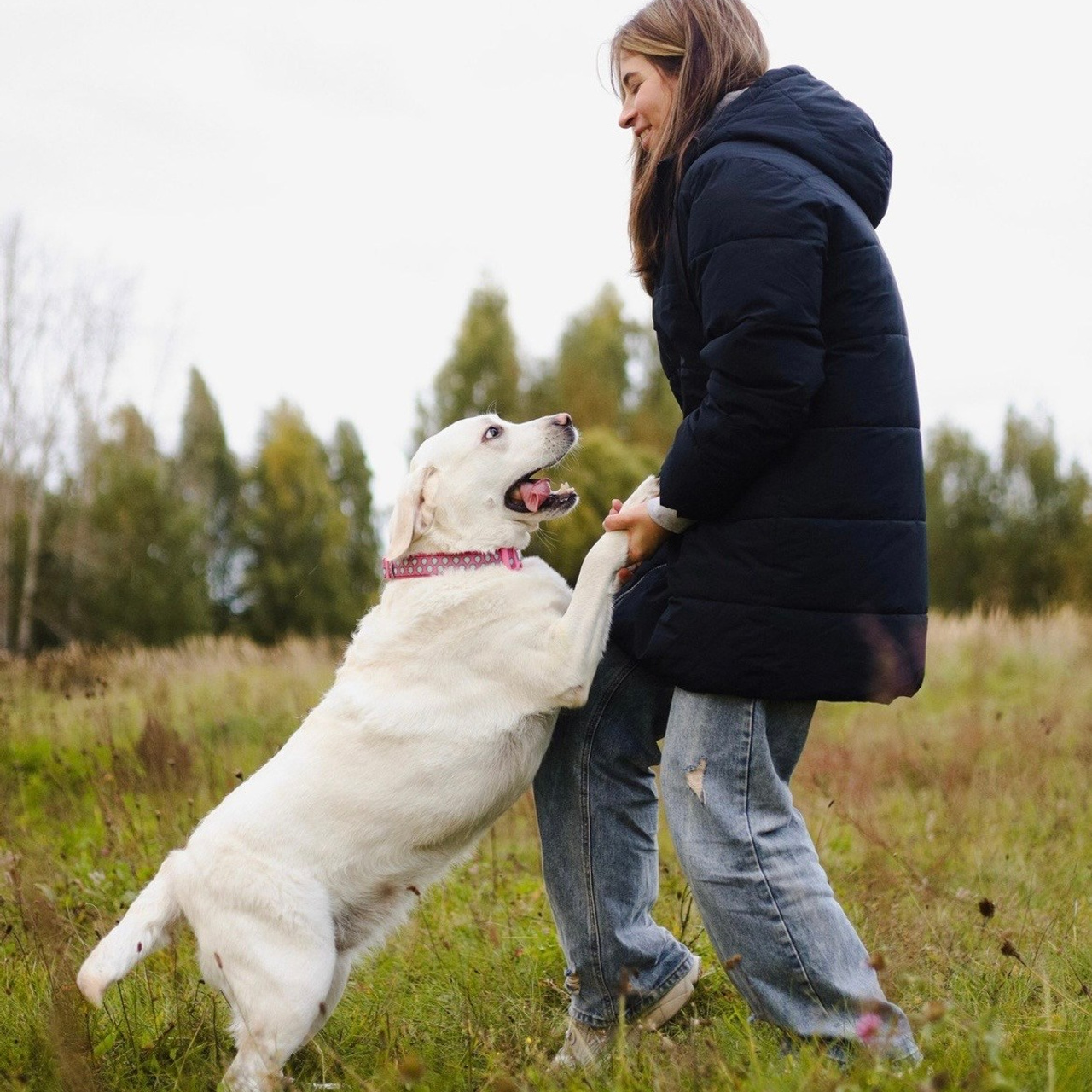 Отзывы. Фотограф-анималист Ксения Шевцова|Москва