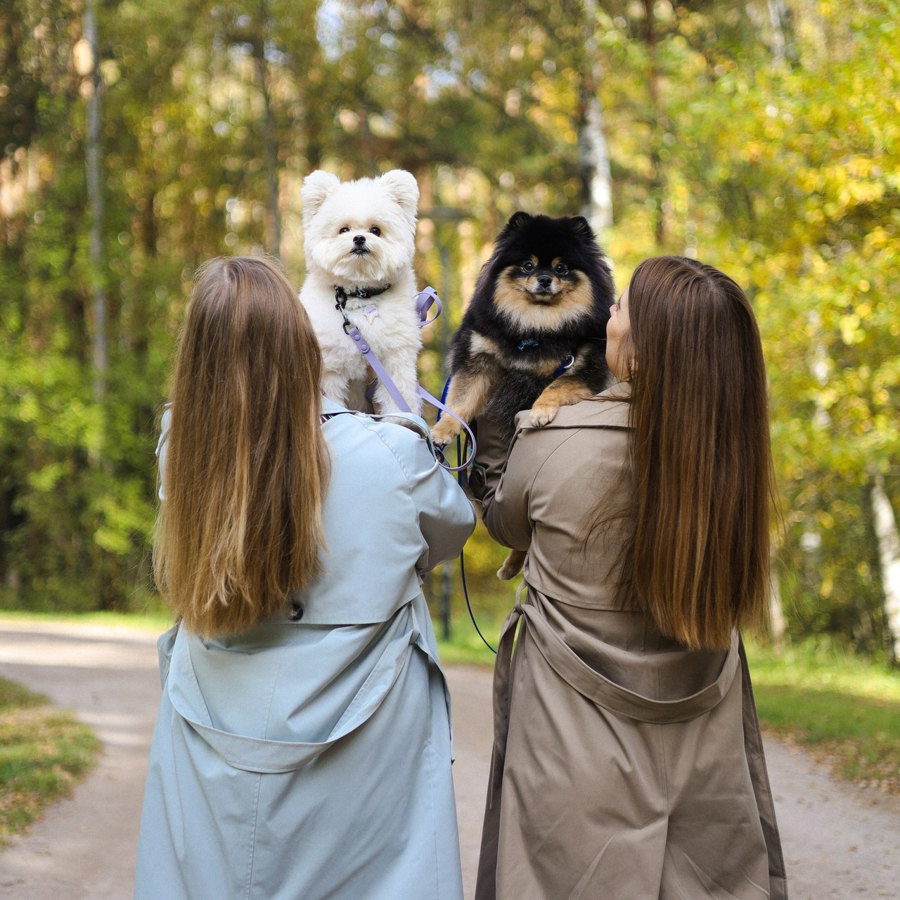 Отзывы. Фотограф-анималист Ксения Шевцова|Москва