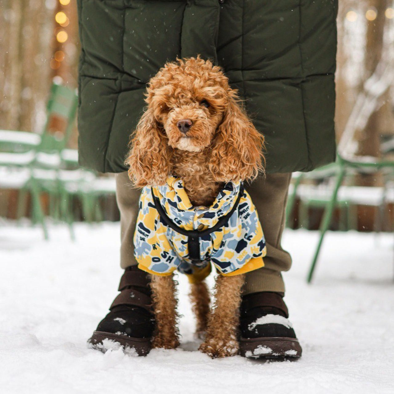 Отзывы. Фотограф-анималист Ксения Шевцова|Москва