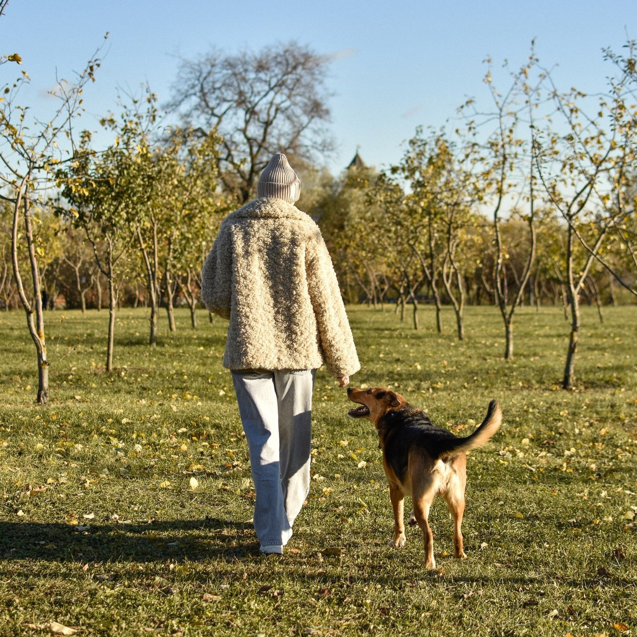 Отзывы. Фотограф-анималист Ксения Шевцова|Москва