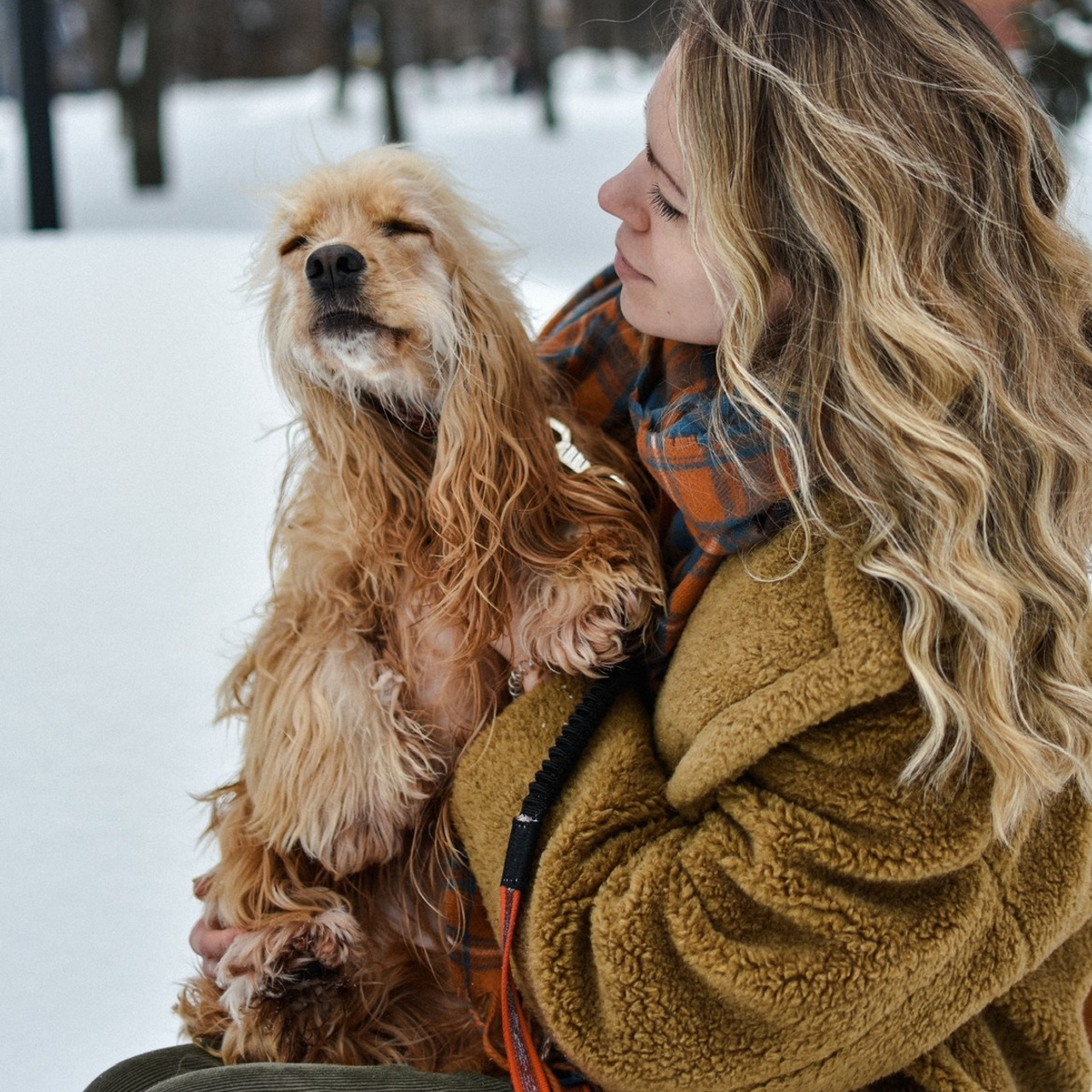 Отзывы. Фотограф-анималист Ксения Шевцова|Москва