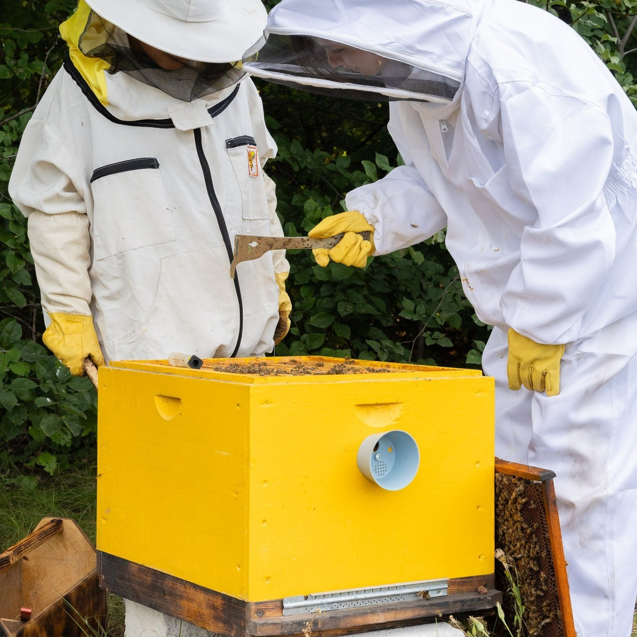 Отзывы. Портретный и семейный фотограф Ирина Лепендина в Воронеже
