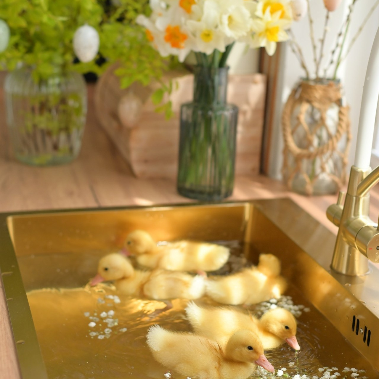 Отзывы. Семейный и детский фотограф Анапа