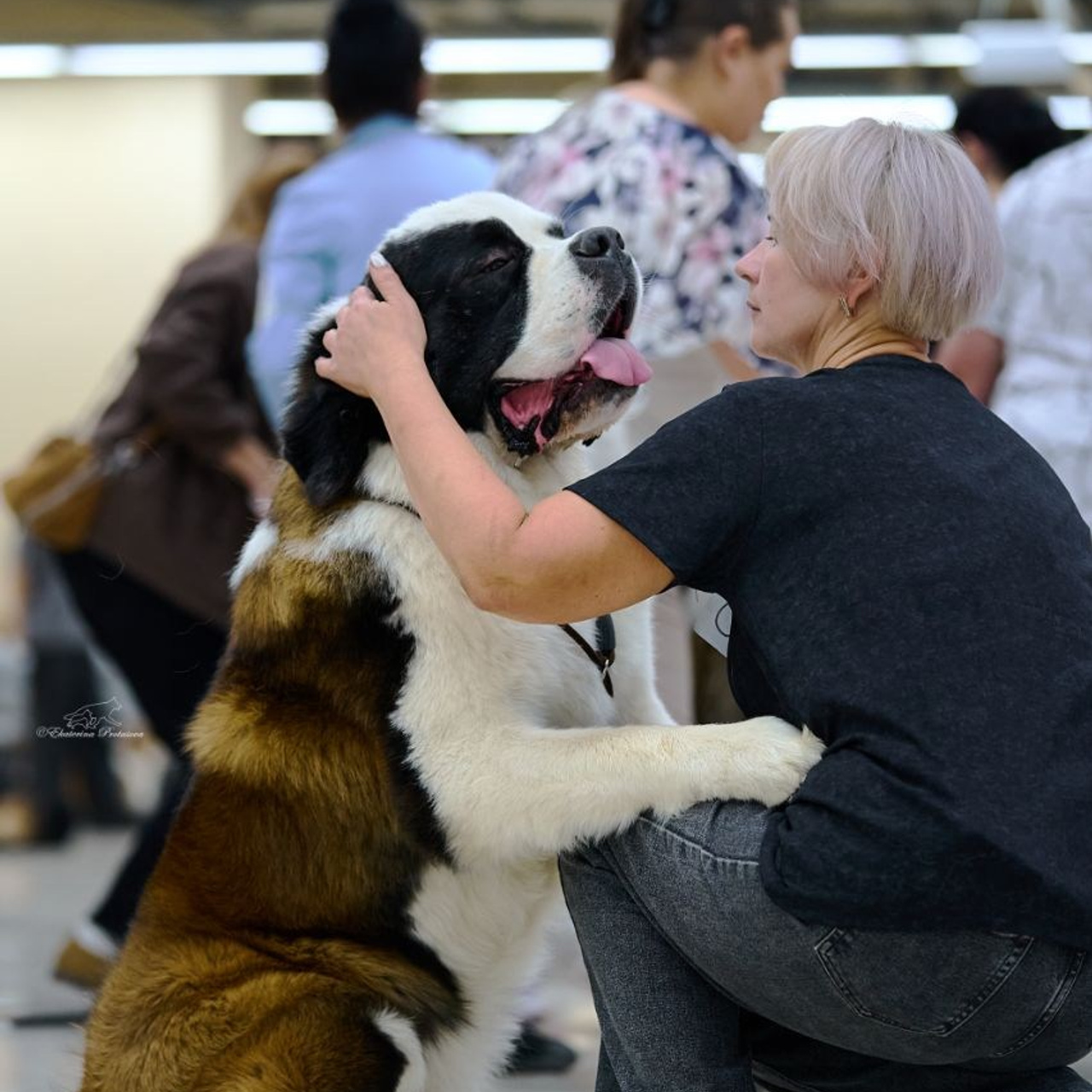 Отзывы. Фотограф-анималист в Иркутске