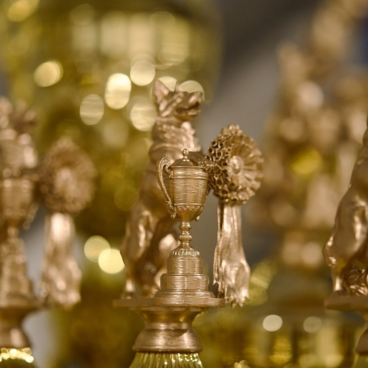 Отзывы. Фотограф-анималист в Иркутске