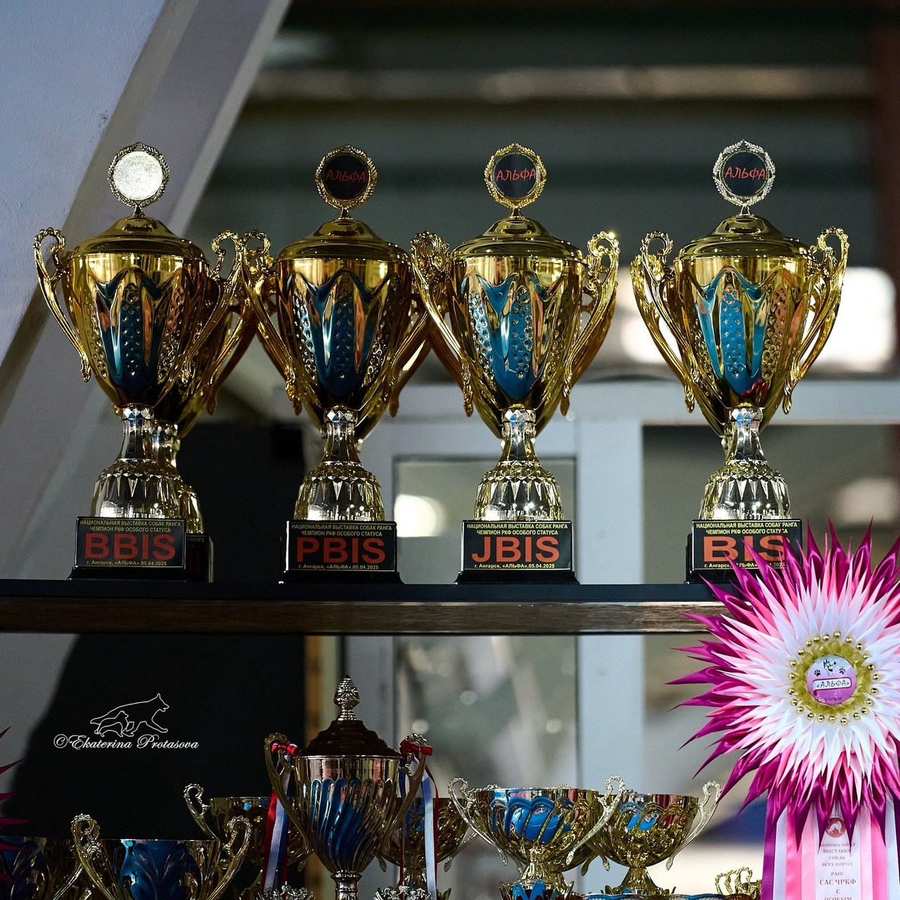 Отзывы. Фотограф-анималист в Иркутске