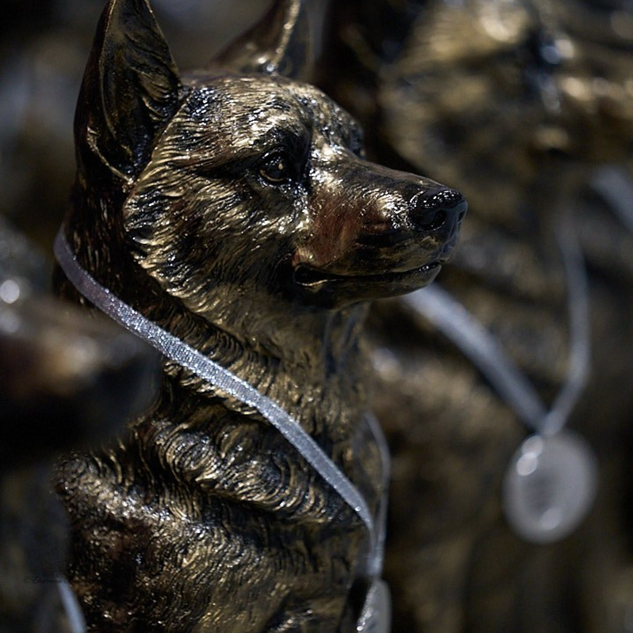 Отзывы. Фотограф-анималист в Иркутске