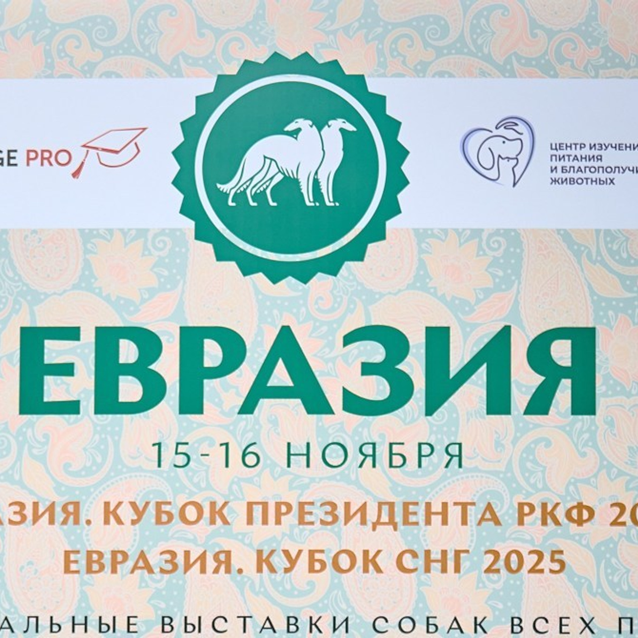 Отзывы. Фотограф-анималист в Иркутске