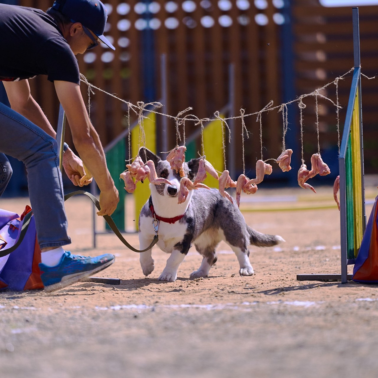 Отзывы. Фотограф-анималист в Иркутске