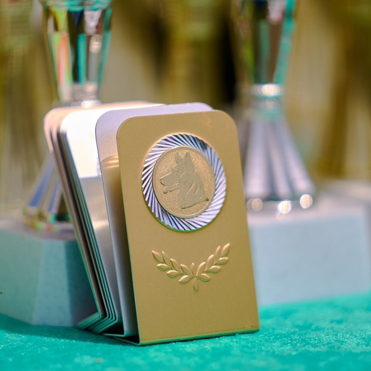 Отзывы. Фотограф-анималист в Иркутске