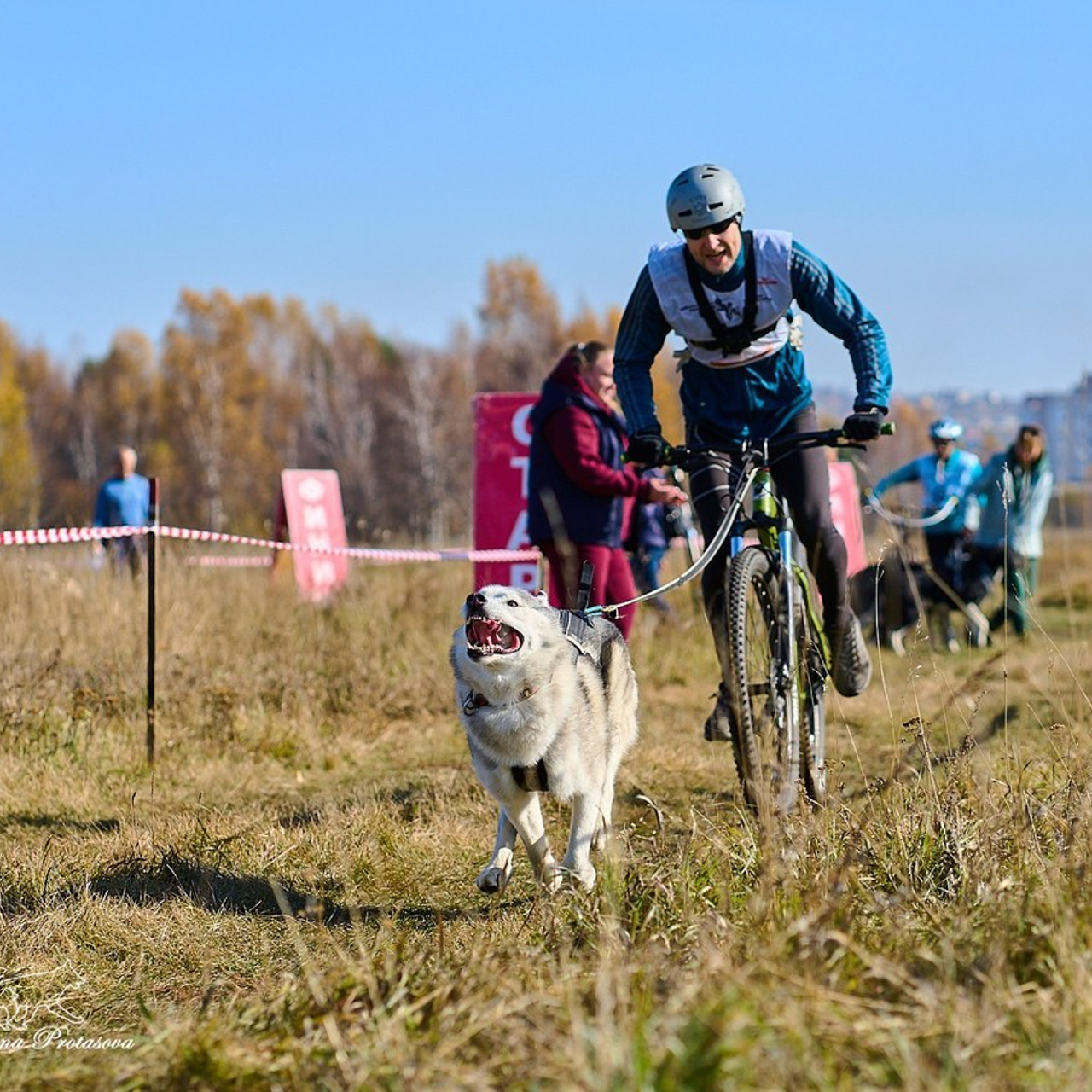 Отзывы. Фотограф-анималист в Иркутске