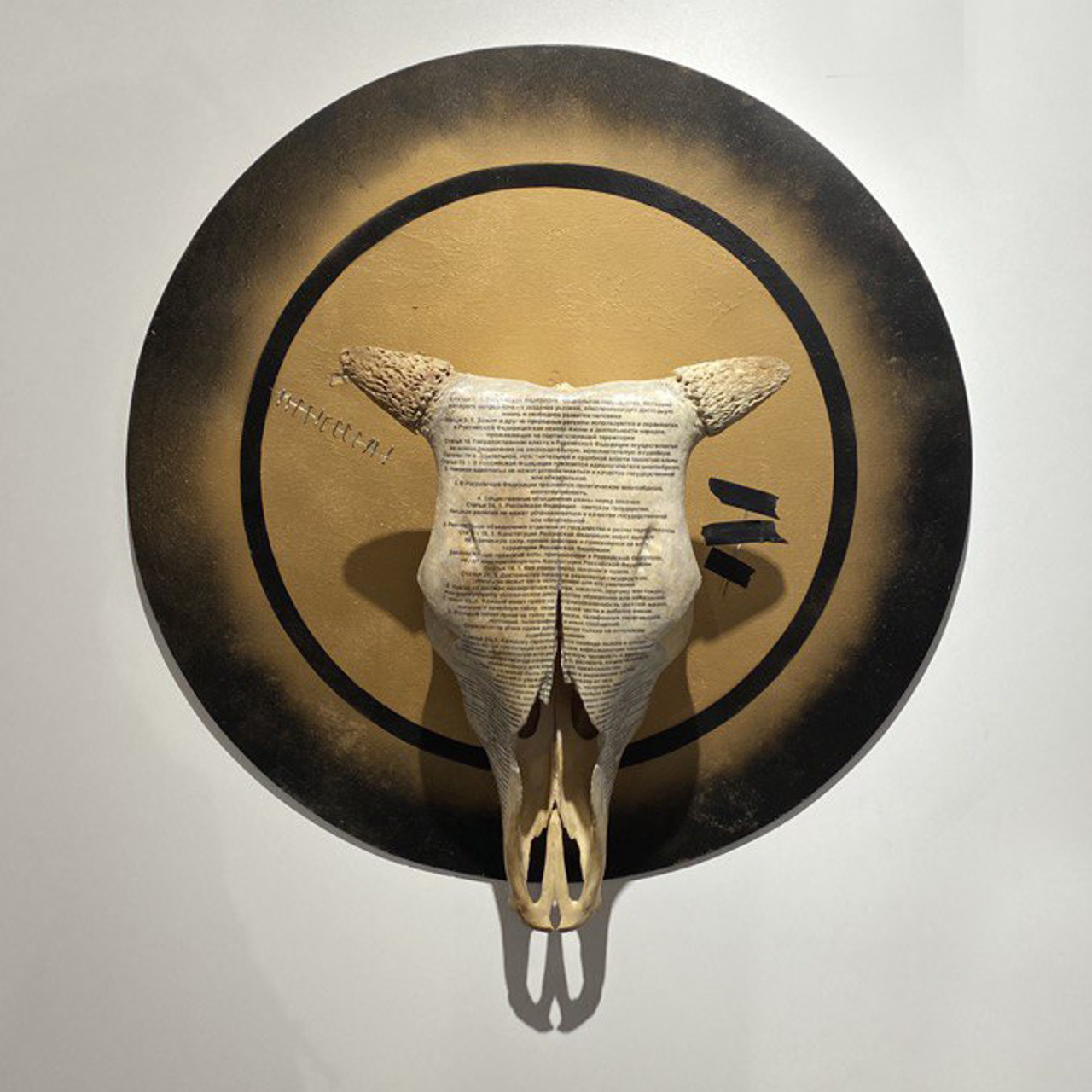 Exhibitions. Alexandr Staub Multidisciplinary artist