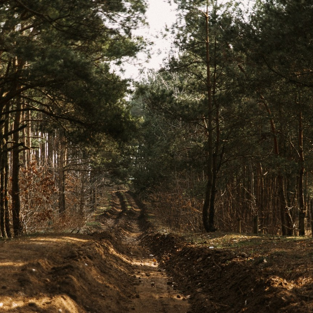 Отзывы. Фотограф Надежда Московская