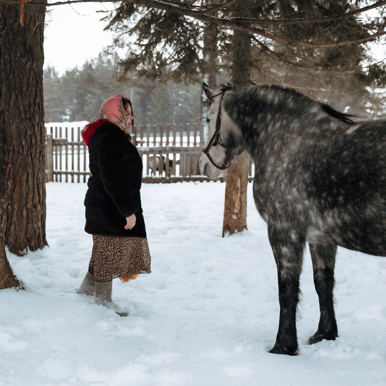 Отзывы. Фотограф Кудымкар | Пермский край