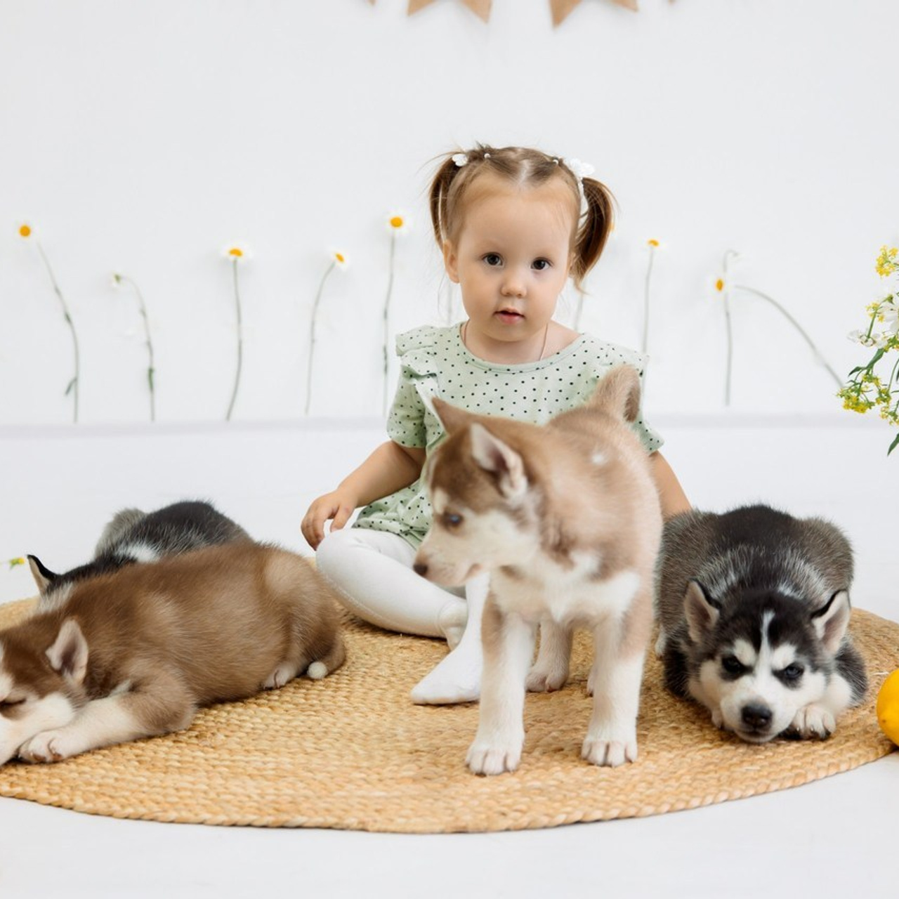 Отзывы. Фотограф Кудымкар | Пермский край