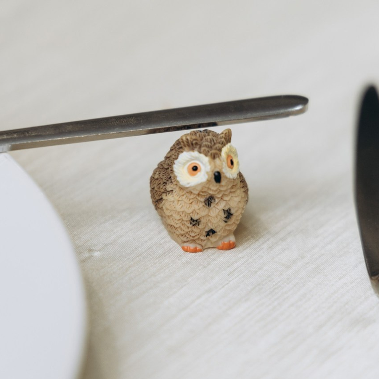 Отзывы. Свадебный и семейный фотограф в Екатеринбурге Елена Чупина