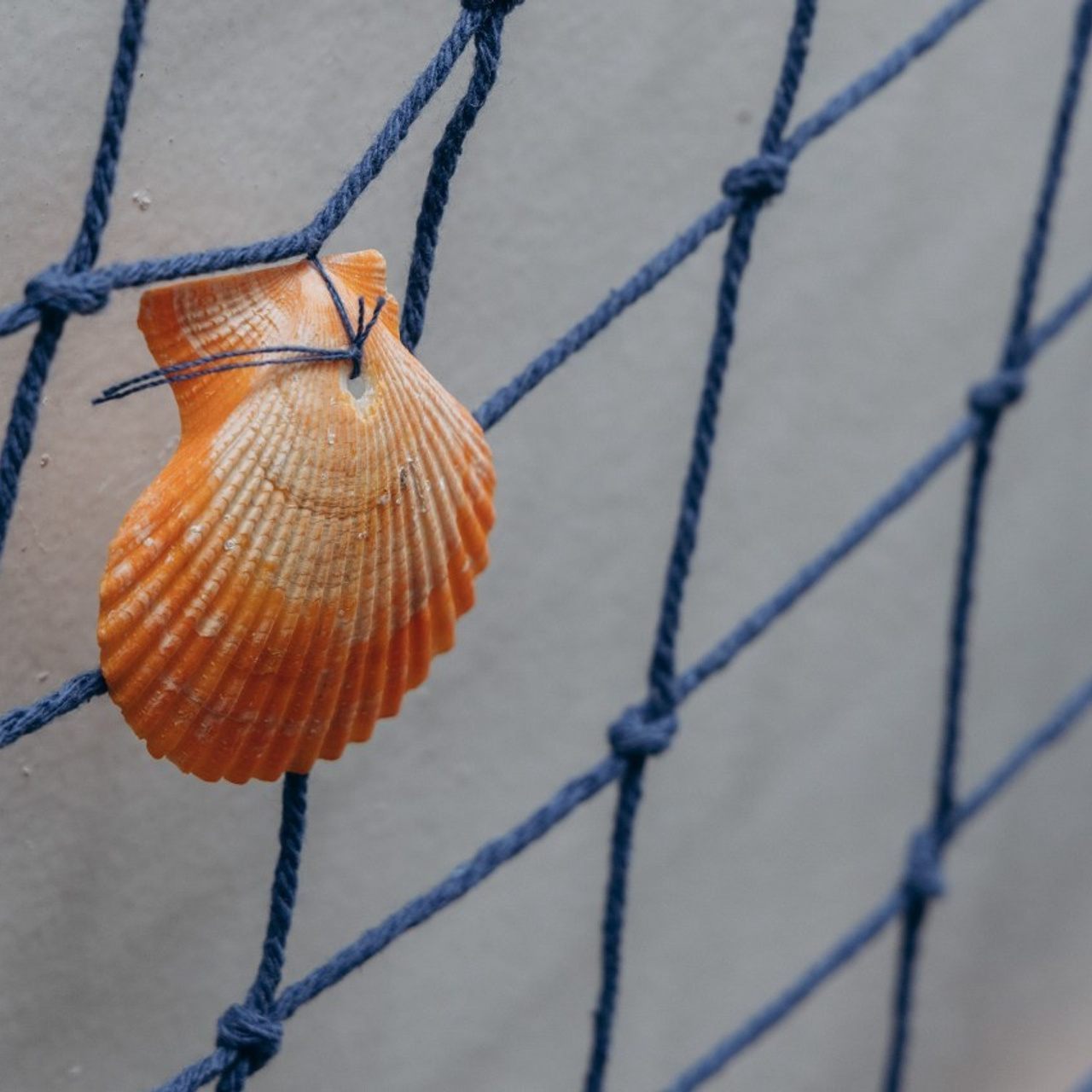 Отзывы. Свадебный и семейный фотограф в Екатеринбурге Елена Чупина