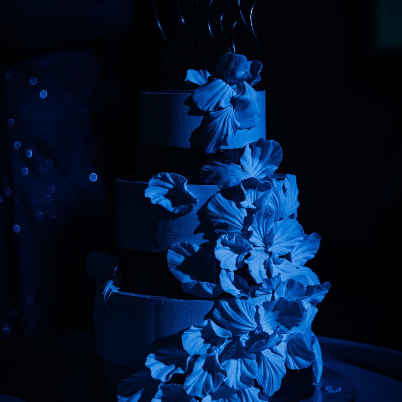 Отзывы. Свадебный и семейный фотограф в Екатеринбурге Елена Чупина