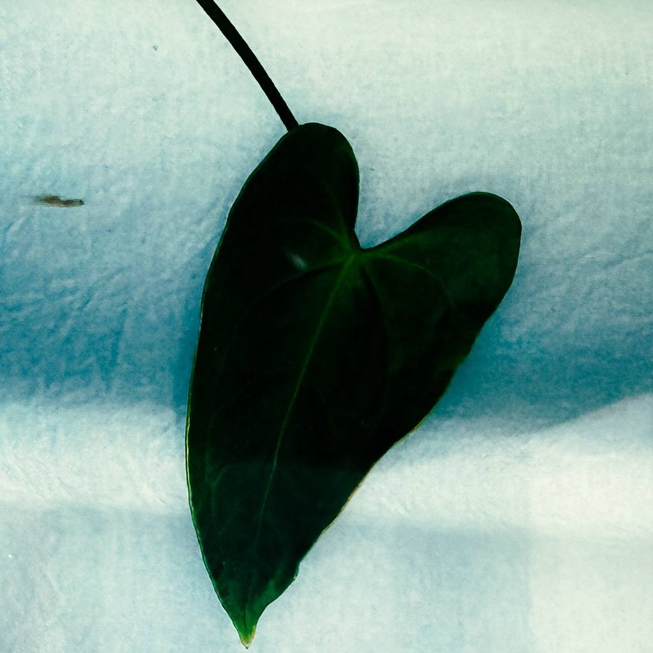 Фотолагерь для фотографов и не только. ARTDARY | Фотограф Дарья Грицай